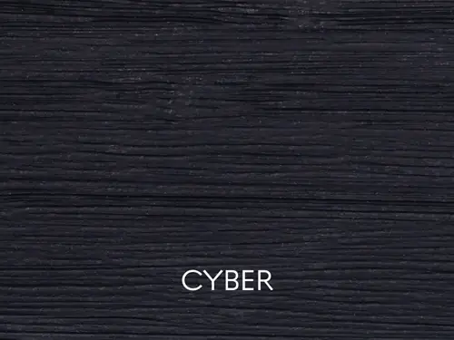 CYBER