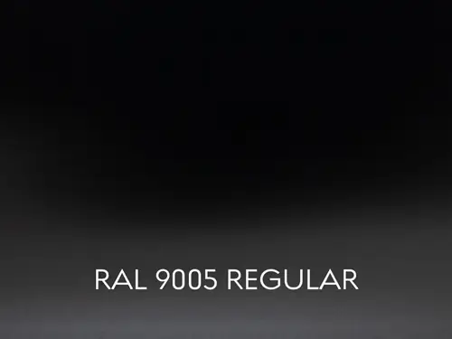 RAL 9005 REGULAR